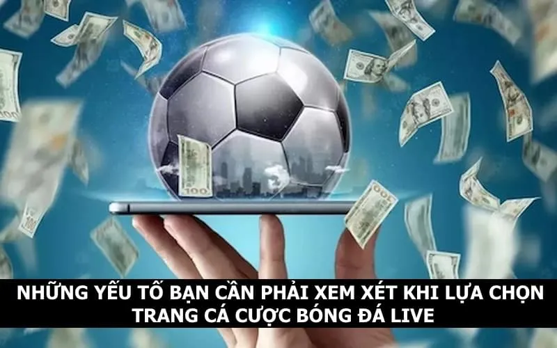 Một số yếu tố bạn cần biết khi lựa chọn trang web cá cược