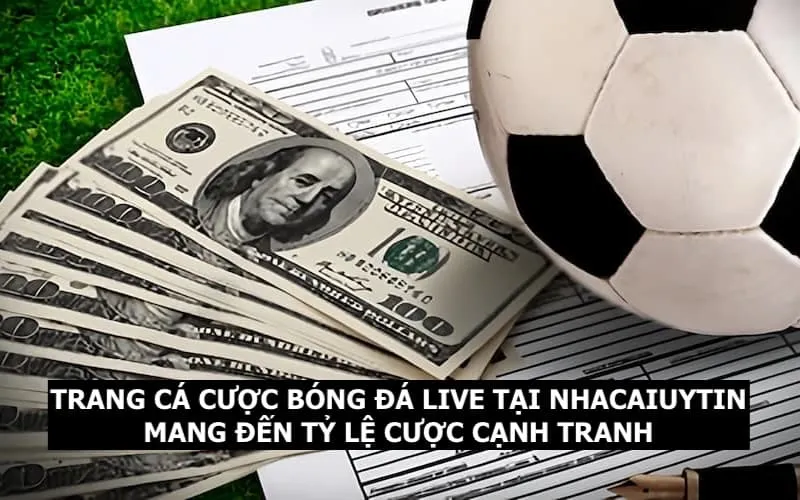 Trang cá cược bóng đá mang đến cho thành viên tỷ lệ kèo cạnh tranh